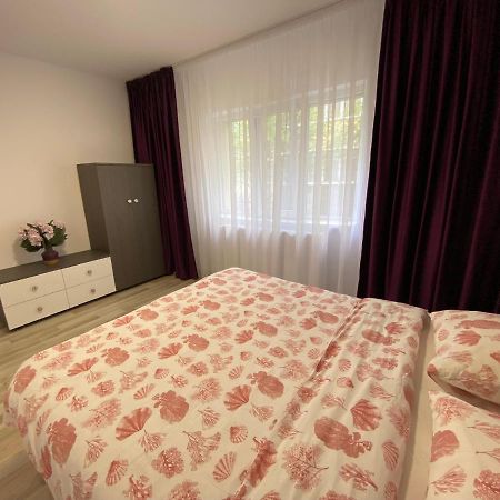 Grove Apartment Бузэу Экстерьер фото